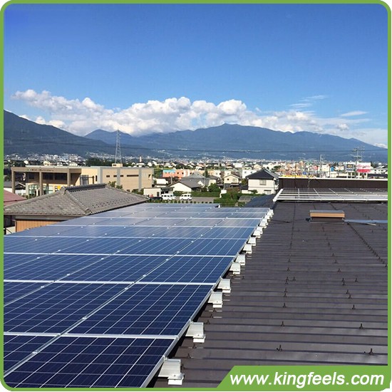 los proyectos solares comunitarios están creciendo en los países bajos
