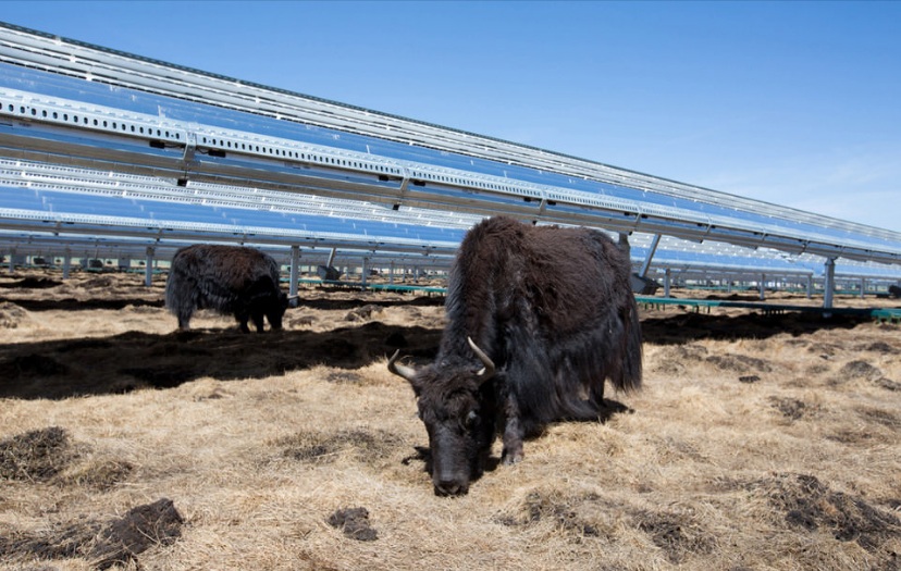 Apple está creando un fondo de $ 300 millones para construir energía solar en China
