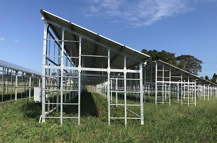 
     ¡Otro país ha anunciado la recaudación de enormes ganancias! Umbral 130 Euros/MWH
    